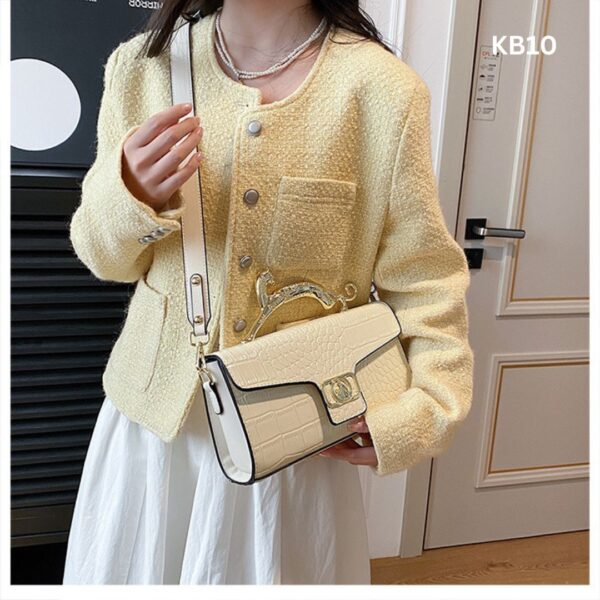 Light Luxury Popular Hand Bag. - Image 3